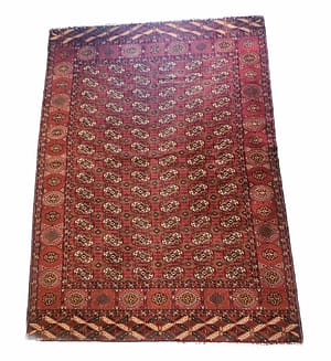 Bukhara russo