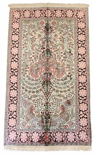 Srinagar seta