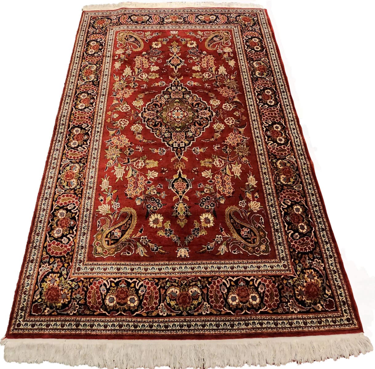 20230503_185516 copia