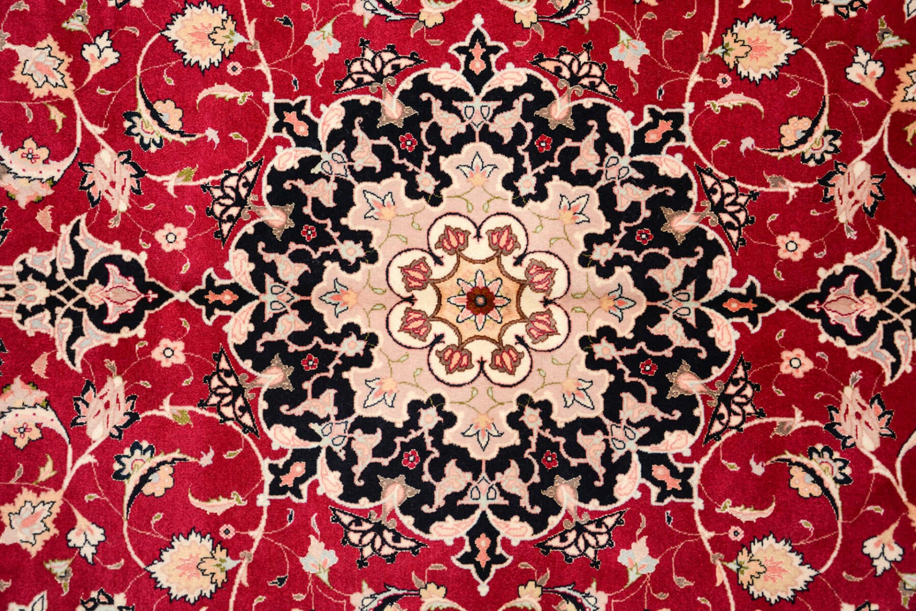 PMR_2677