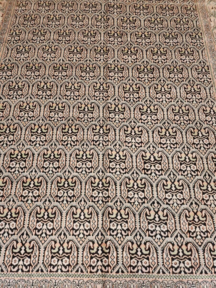 20230509_114207